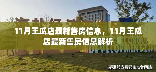 11月王瓜店最新售房信息全面解析