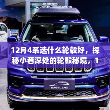 gangqiemuzhang 第16页