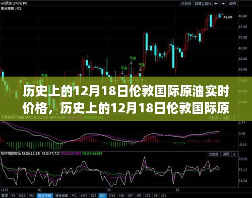 borandanu 第5页