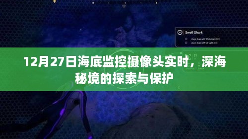 深海秘境探索与保护，海底监控摄像头实时观察
