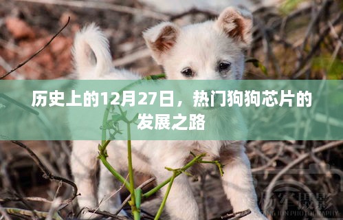 行业资讯 第51页