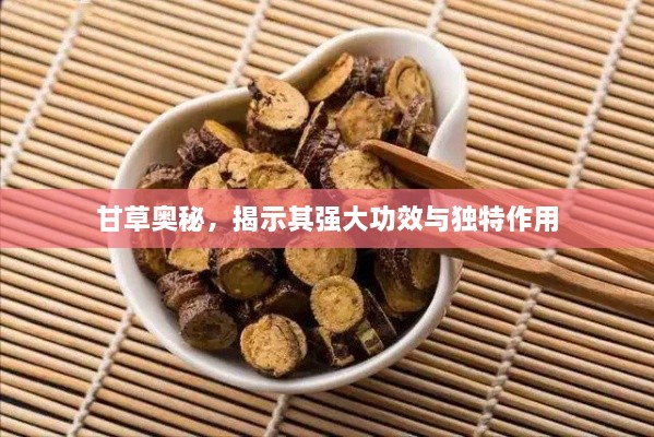 甘草奥秘，揭示其强大功效与独特作用