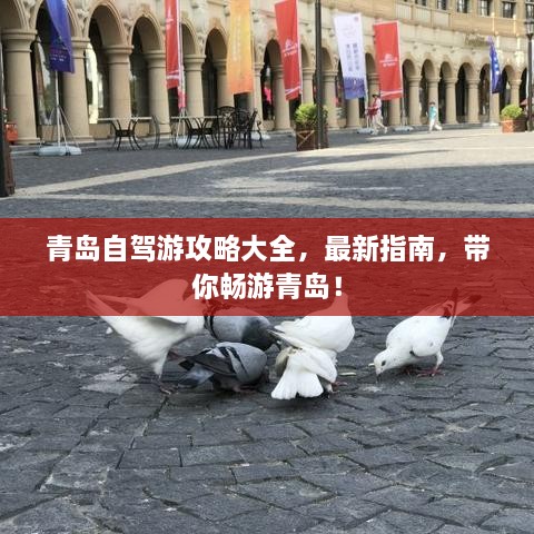 青岛自驾游攻略大全，最新指南，带你畅游青岛！