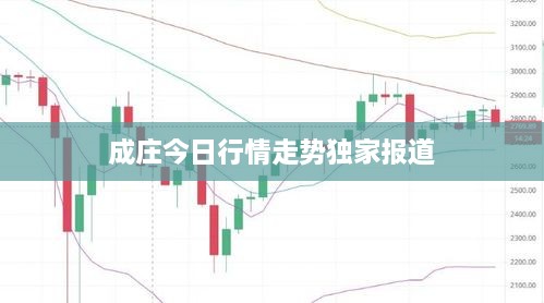 成庄今日行情走势独家报道