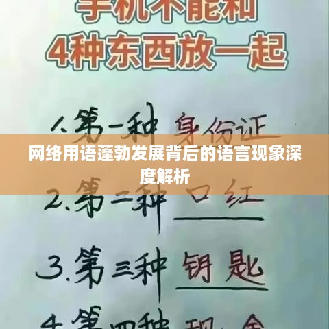 网络用语蓬勃发展背后的语言现象深度解析
